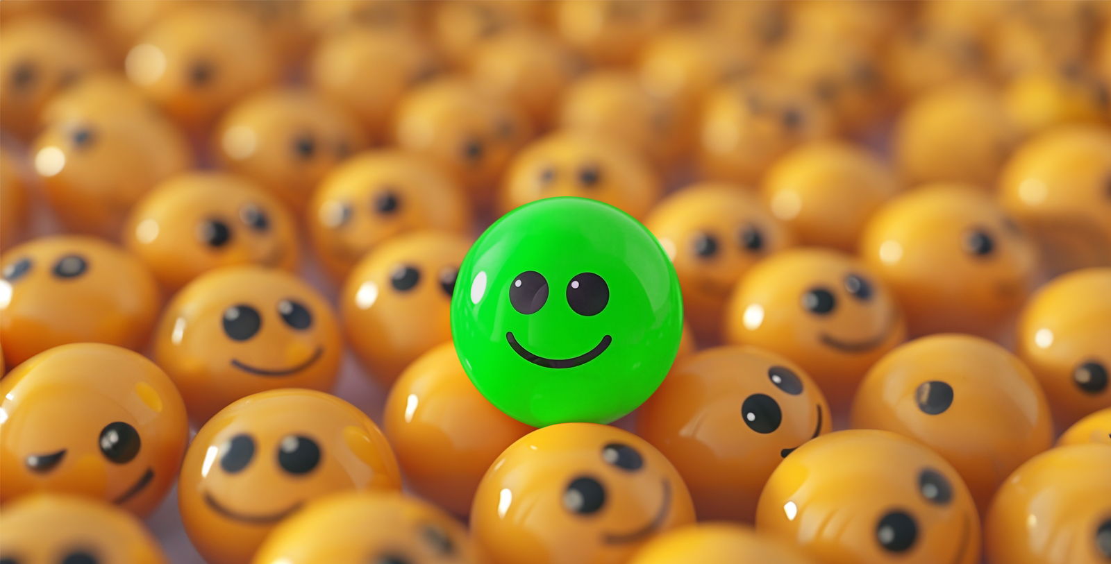 customer survey blog main image v2