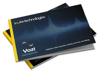vozi presentation