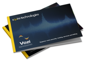 vozi presentation