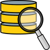 lookups icon