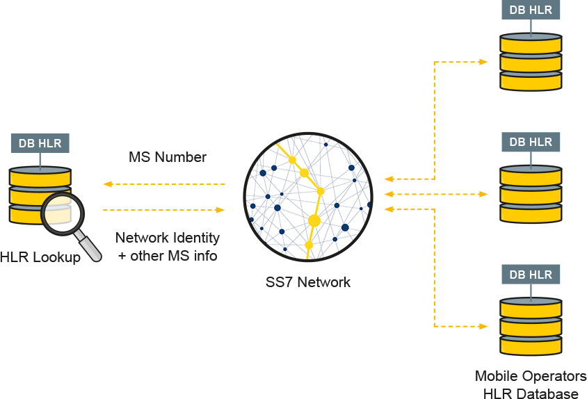 Signal Transfer Point HLR Lookup RESTful API
