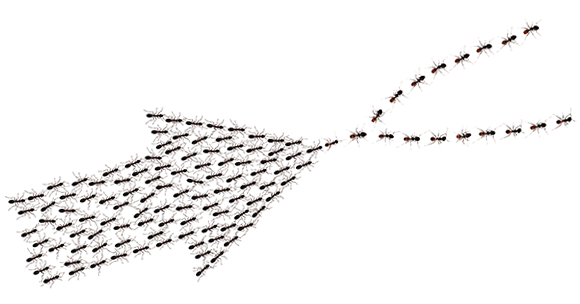 Wholesale Carriers ants in the shape of an arrow