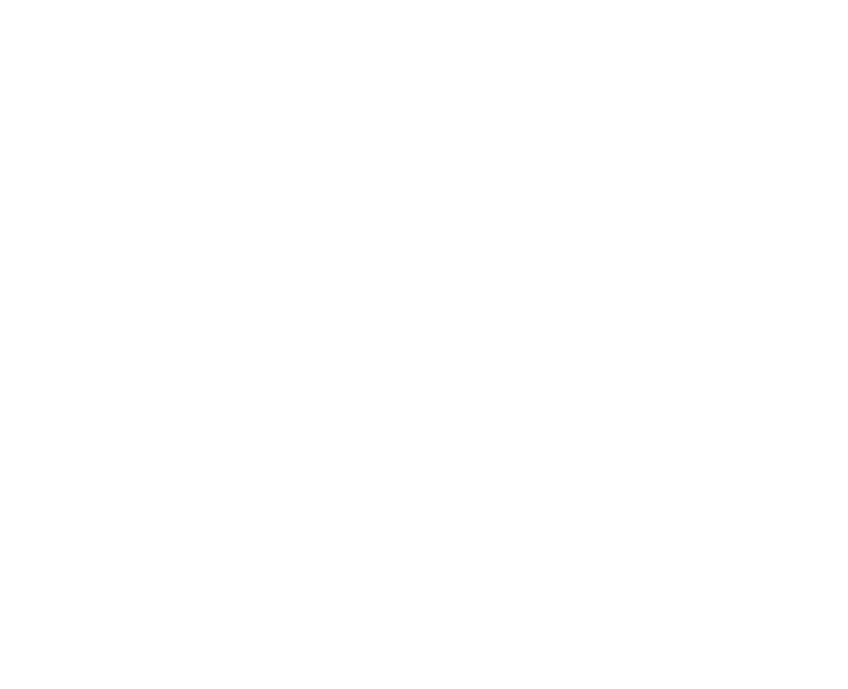 mvnos network pig