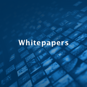 whitepapers icon2